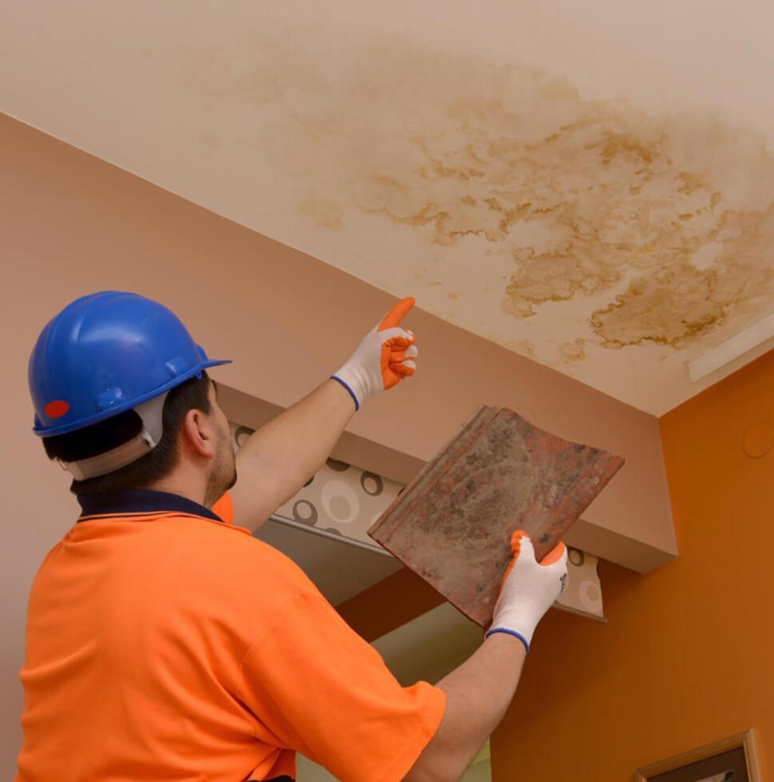 Roof Leaks